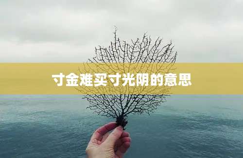 寸金难买寸光阴的意思