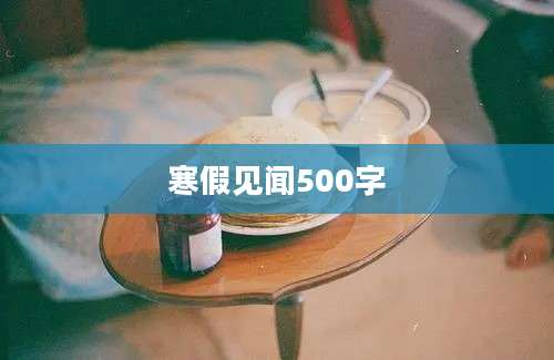 寒假见闻500字