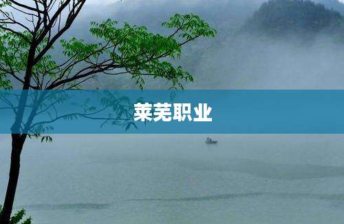 莱芜职业