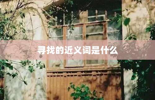 寻找的近义词是什么