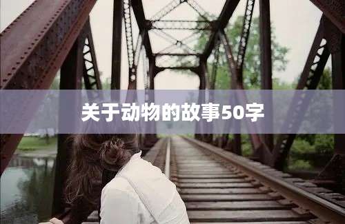 关于动物的故事50字