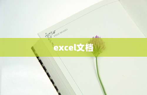 excel文档
