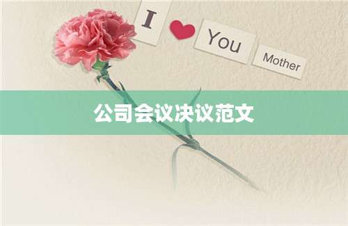 公司会议决议范文