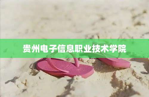 贵州电子信息职业技术学院