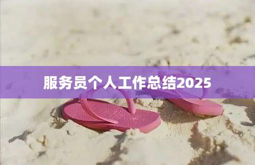 服务员个人工作总结2025