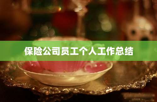 保险公司员工个人工作总结