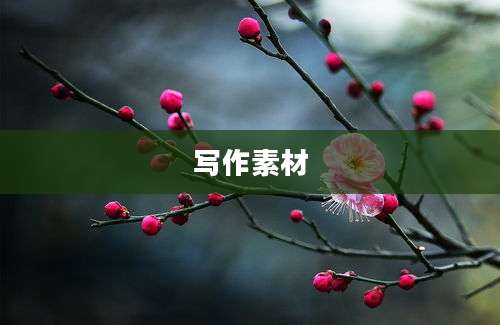 写作素材
