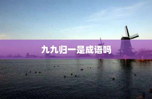 九九归一是成语吗