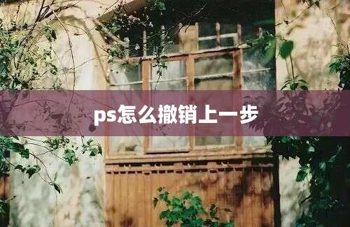 ps怎么撤销上一步