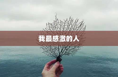 我最感激的人