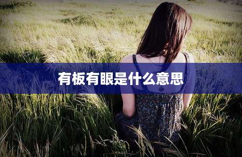 有板有眼是什么意思