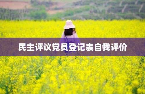 民主评议党员登记表自我评价