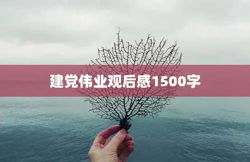 建党伟业观后感1500字