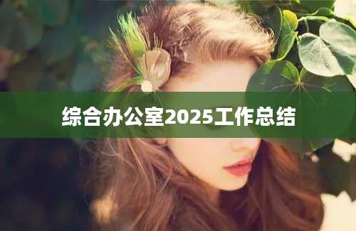 综合办公室2025工作总结