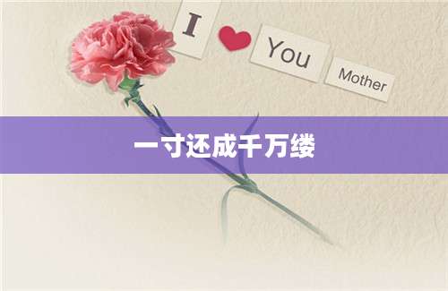 一寸还成千万缕