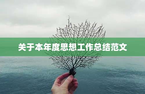 关于本年度思想工作总结范文