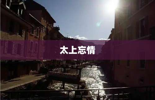 太上忘情