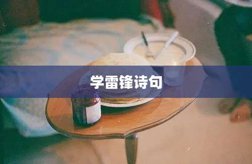 学雷锋诗句