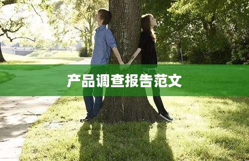 产品调查报告范文