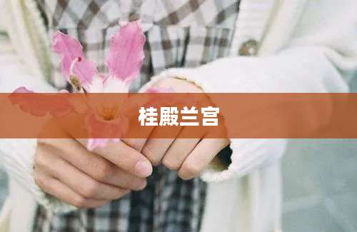 桂殿兰宫