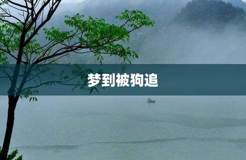 梦到被狗追