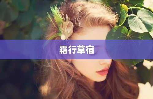 霜行草宿