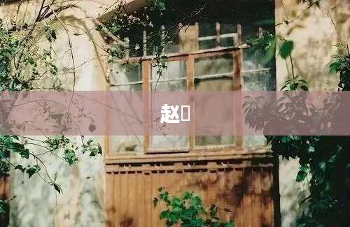 赵昰