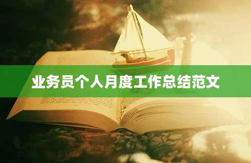 业务员个人月度工作总结范文
