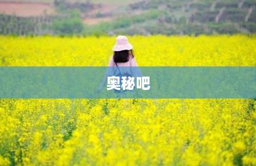 奥秘吧