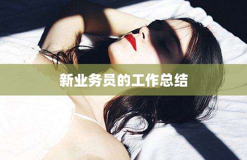 新业务员的工作总结
