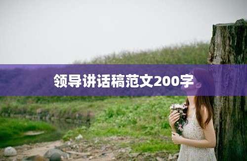 领导讲话稿范文200字