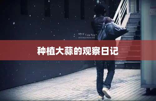 种植大蒜的观察日记