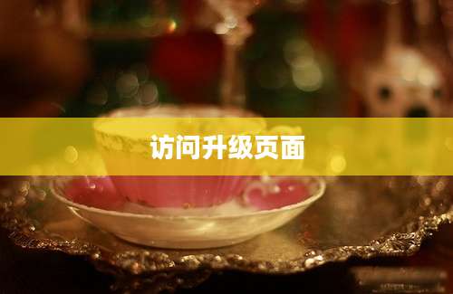 访问升级页面