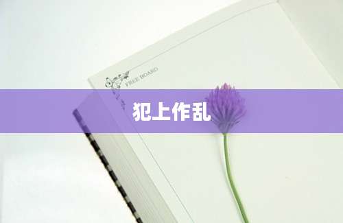 犯上作乱