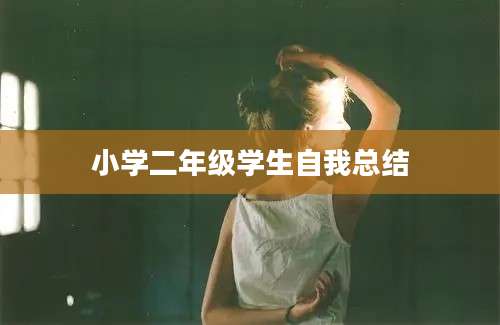 小学二年级学生自我总结