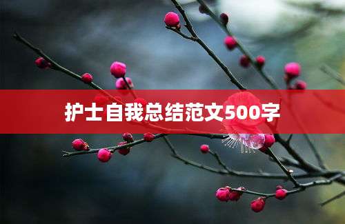 护士自我总结范文500字