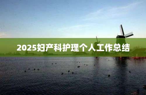 2025妇产科护理个人工作总结