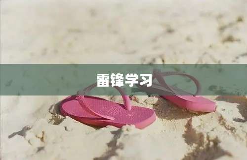 雷锋学习