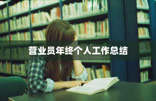 营业员年终个人工作总结