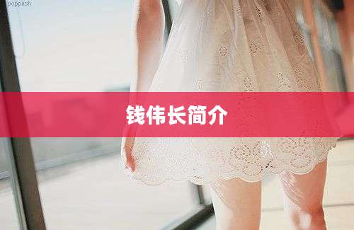 钱伟长简介
