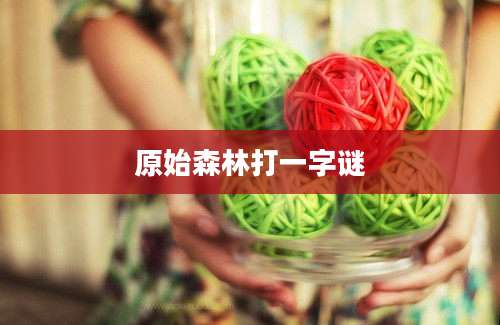 原始森林打一字谜