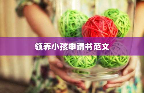 领养小孩申请书范文