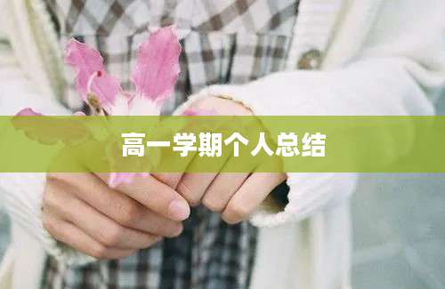 高一学期个人总结