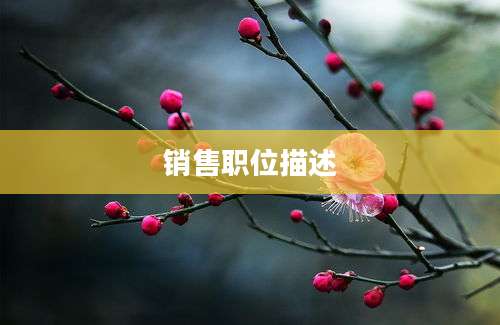 销售职位描述