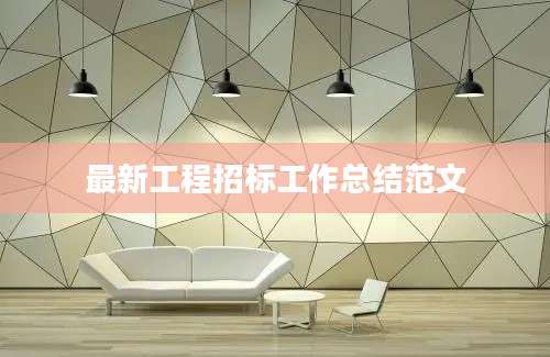 最新工程招标工作总结范文