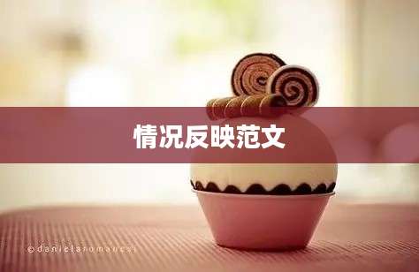 情况反映范文