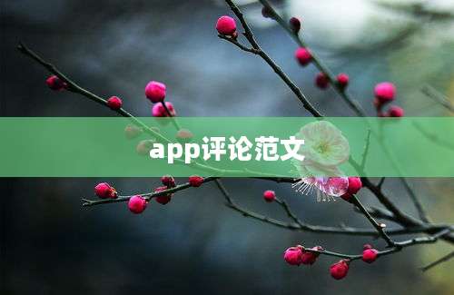 app评论范文