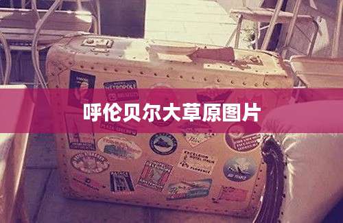 呼伦贝尔大草原图片