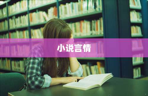 小说言情