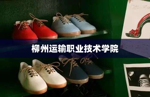 柳州运输职业技术学院